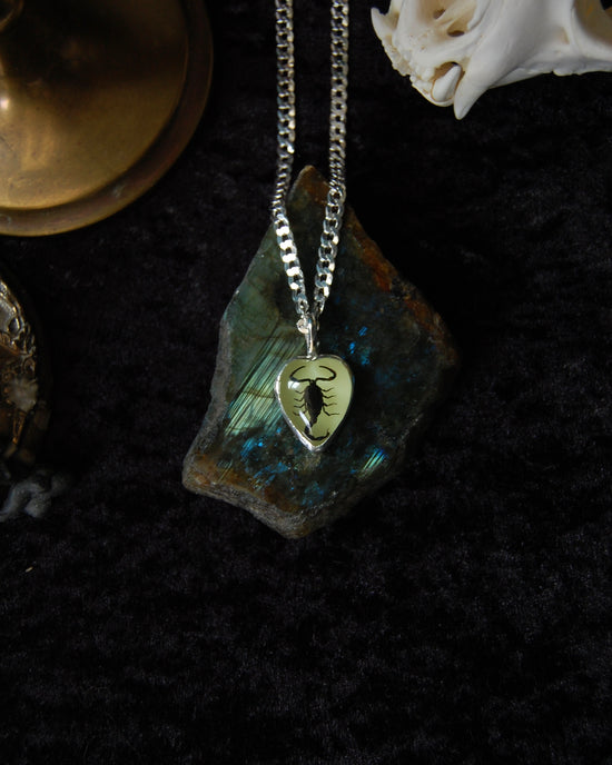 Scorpion Amulet