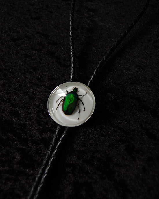 Beetle Bolo